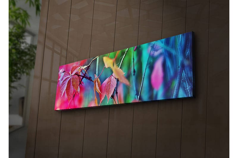 Dekorativ Canvasbilde LED-belysning - Flerfarget - Innredning - Bilder & kunst - Lerretsbilder