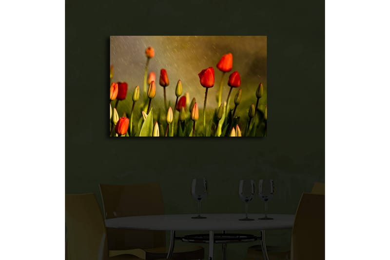 Dekorativ Canvasbilde LED-belysning - Flerfarget - Innredning - Bilder & kunst - Lerretsbilder