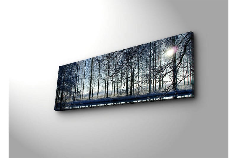Dekorativ Canvasbilde LED-belysning - Flerfarget - Innredning - Bilder & kunst - Lerretsbilder