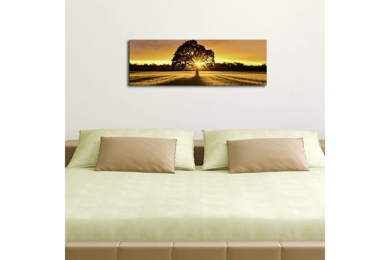 Dekorativ Canvasbilde LED-belysning - Flerfarget - Innredning - Bilder & kunst - Lerretsbilder