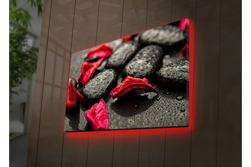 Dekorativ Canvasbilde LED-belysning - Flerfarget - Innredning - Bilder & kunst - Lerretsbilder