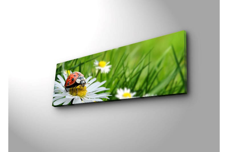Dekorativ Canvasbilde LED-belysning - Flerfarget - Innredning - Bilder & kunst - Lerretsbilder