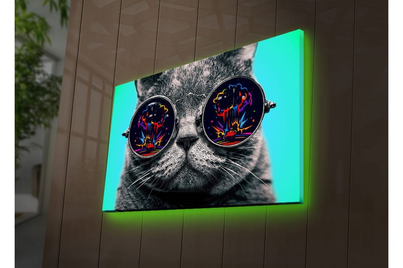 Dekorativ Canvasbilde LED-belysning - Flerfarget - Innredning - Bilder & kunst - Lerretsbilder