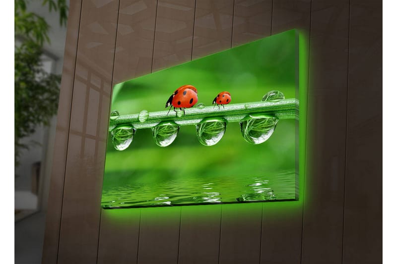 Dekorativ Canvasbilde LED-belysning - Flerfarget - Innredning - Bilder & kunst - Lerretsbilder