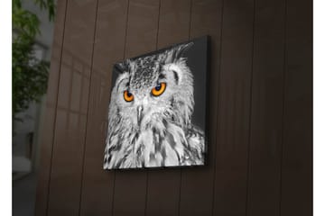 Dekorativ Canvasbilde LED-belysning - Flerfarget - Innredning - Bilder & kunst - Lerretsbilder