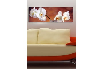 Dekorativ Canvasbilde LED-belysning - Flerfarget - Innredning - Bilder & kunst - Lerretsbilder