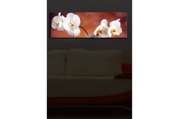 Dekorativ Canvasbilde LED-belysning - Flerfarget - Innredning - Bilder & kunst - Lerretsbilder