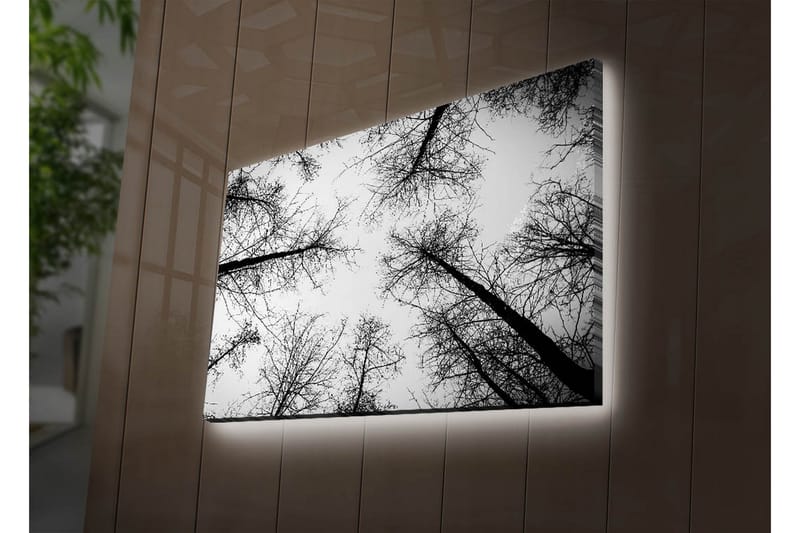 Dekorativ Canvasbilde LED-belysning - Flerfarget - Innredning - Bilder & kunst - Lerretsbilder