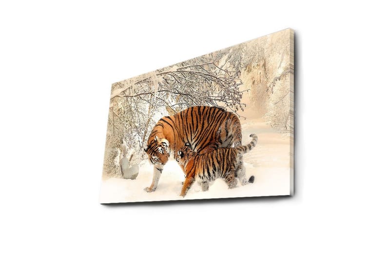 Dekorativ Canvasbilde LED-belysning - Flerfarget - Innredning - Bilder & kunst - Lerretsbilder