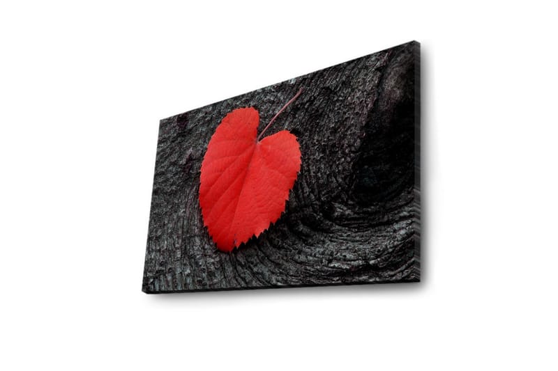 Dekorativ Canvasbilde LED-belysning - Flerfarget - Innredning - Bilder & kunst - Lerretsbilder