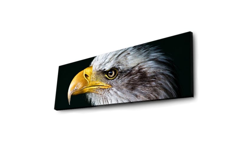 Dekorativ Canvasbilde LED-belysning - Flerfarget - Innredning - Bilder & kunst - Lerretsbilder