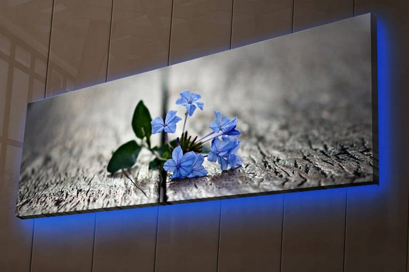 Dekorativ Canvasbilde LED-belysning - Flerfarget - Innredning - Bilder & kunst - Lerretsbilder