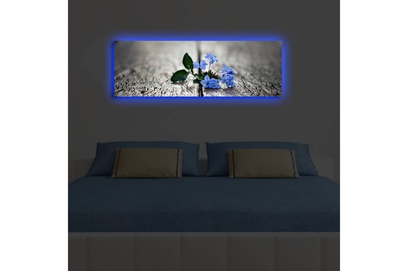 Dekorativ Canvasbilde LED-belysning - Flerfarget - Innredning - Bilder & kunst - Lerretsbilder