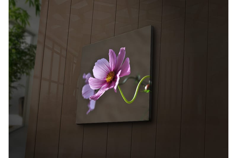 Dekorativ Canvasbilde LED-belysning - Flerfarget - Innredning - Bilder & kunst - Lerretsbilder
