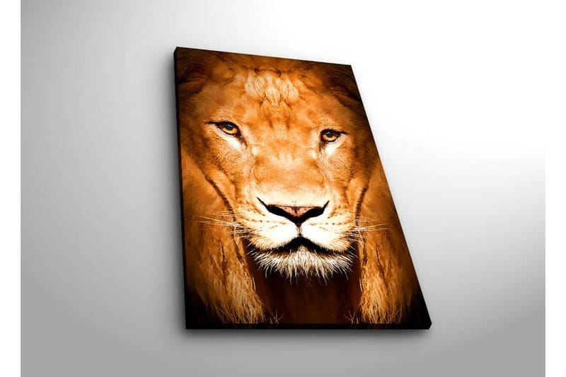 Dekorativ Canvasbilde LED-belysning - Flerfarget - Innredning - Bilder & kunst - Lerretsbilder