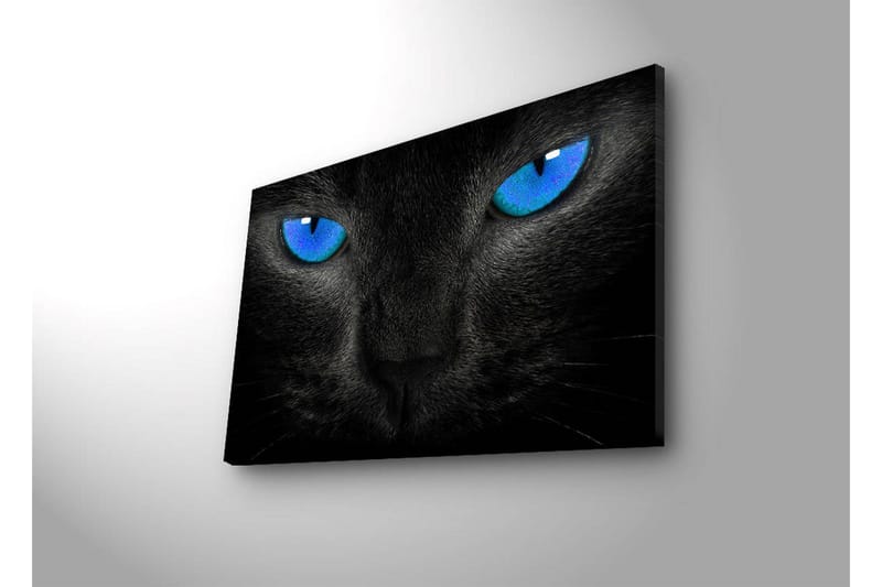 Dekorativ Canvasbilde LED-belysning - Flerfarget - Innredning - Bilder & kunst - Lerretsbilder