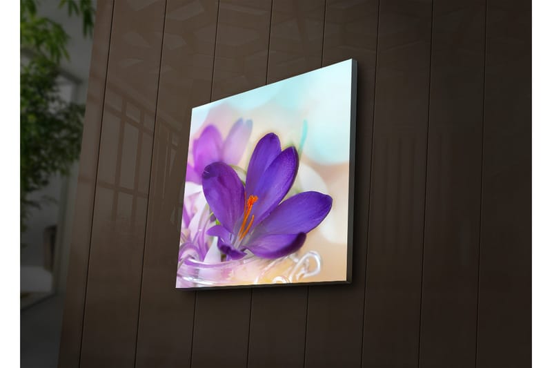 Dekorativ Canvasbilde LED-belysning - Flerfarget - Innredning - Bilder & kunst - Lerretsbilder