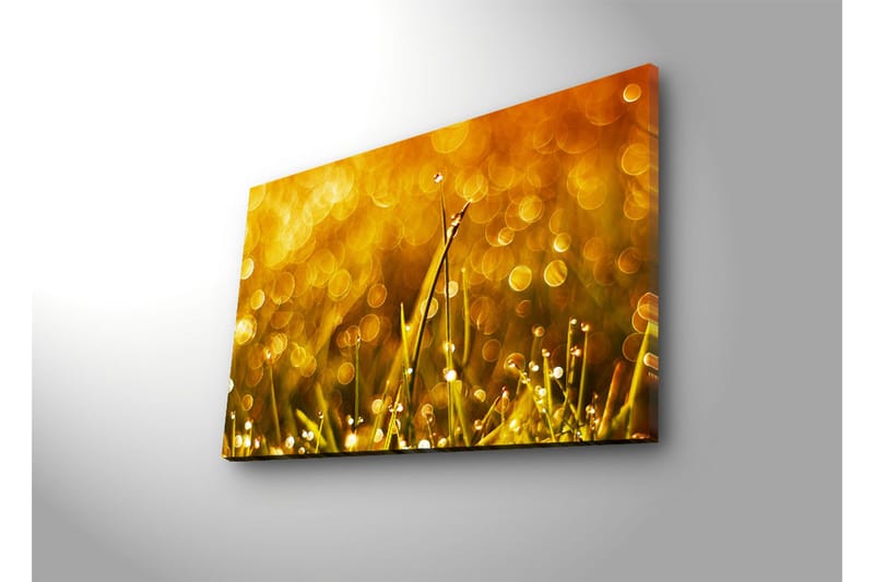 Dekorativ Canvasbilde LED-belysning - Flerfarget - Innredning - Bilder & kunst - Lerretsbilder