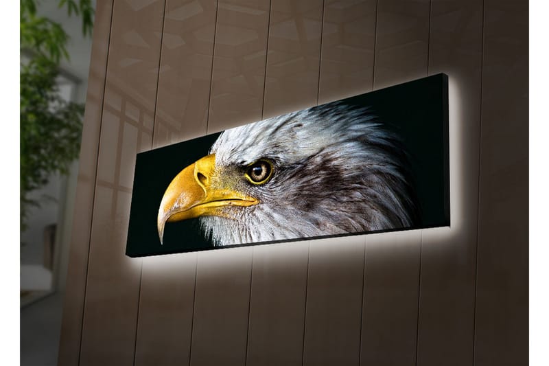 Dekorativ Canvasbilde LED-belysning - Flerfarget - Innredning - Bilder & kunst - Lerretsbilder