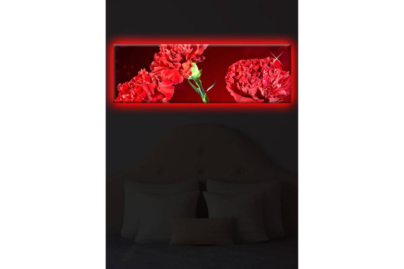 Dekorativ Canvasbilde LED-belysning - Flerfarget - Innredning - Bilder & kunst - Lerretsbilder