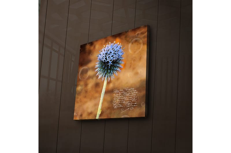 Dekorativ Canvasbilde LED-belysning - Flerfarget - Innredning - Bilder & kunst - Lerretsbilder