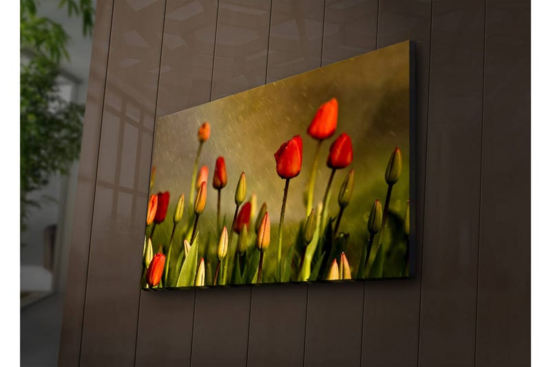Dekorativ Canvasbilde LED-belysning - Flerfarget - Innredning - Bilder & kunst - Lerretsbilder