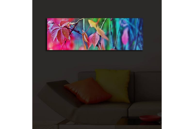 Dekorativ Canvasbilde LED-belysning - Flerfarget - Innredning - Bilder & kunst - Lerretsbilder