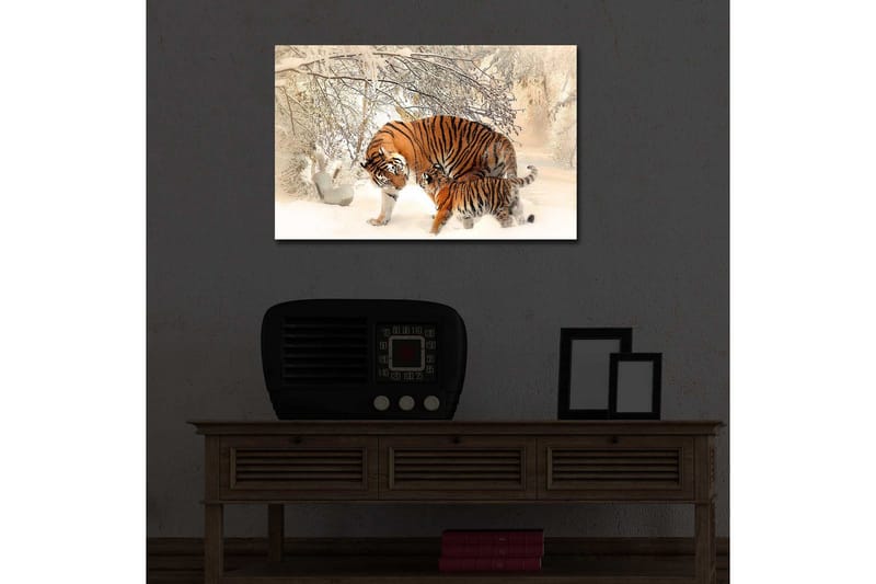 Dekorativ Canvasbilde LED-belysning - Flerfarget - Innredning - Bilder & kunst - Lerretsbilder