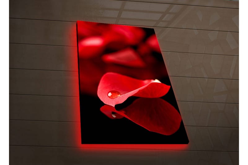 Dekorativ Canvasbilde LED-belysning - Flerfarget - Innredning - Bilder & kunst - Lerretsbilder
