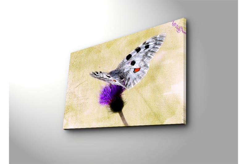 Dekorativ Canvasbilde LED-belysning - Flerfarget - Innredning - Bilder & kunst - Lerretsbilder