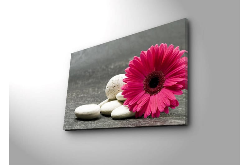 Dekorativ Canvasbilde LED-belysning - Flerfarget - Innredning - Bilder & kunst - Lerretsbilder