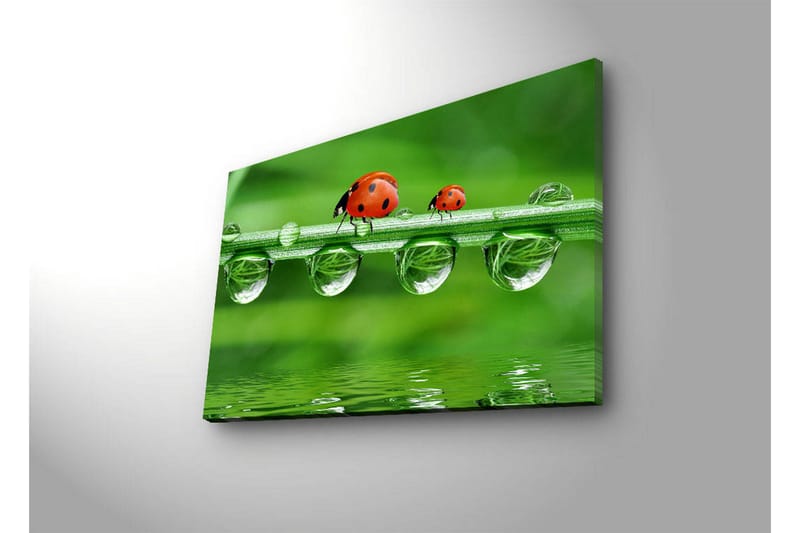 Dekorativ Canvasbilde LED-belysning - Flerfarget - Innredning - Bilder & kunst - Lerretsbilder