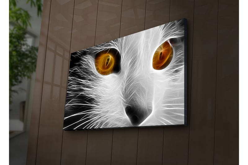Dekorativ Canvasbilde LED-belysning - Flerfarget - Innredning - Bilder & kunst - Lerretsbilder