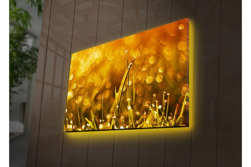 Dekorativ Canvasbilde LED-belysning - Flerfarget - Innredning - Bilder & kunst - Lerretsbilder