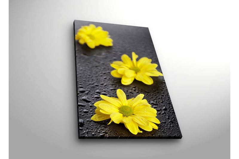 Dekorativ Canvasbilde LED-belysning - Flerfarget - Innredning - Bilder & kunst - Lerretsbilder