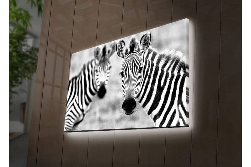 Dekorativ Canvasbilde LED-belysning - Flerfarget - Innredning - Bilder & kunst - Lerretsbilder