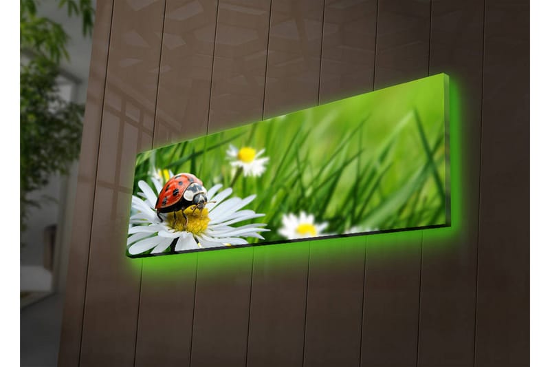 Dekorativ Canvasbilde LED-belysning - Flerfarget - Innredning - Bilder & kunst - Lerretsbilder
