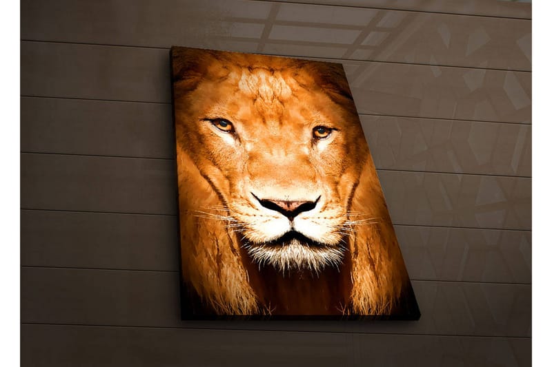 Dekorativ Canvasbilde LED-belysning - Flerfarget - Innredning - Bilder & kunst - Lerretsbilder