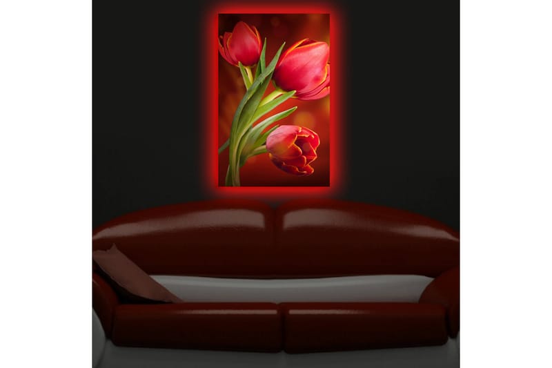 Dekorativ Canvasbilde LED-belysning - Flerfarget - Innredning - Bilder & kunst - Lerretsbilder