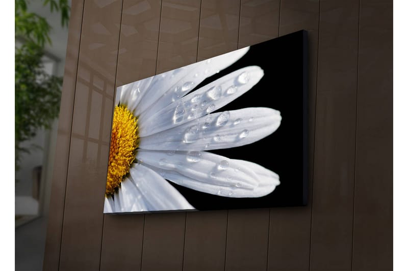 Dekorativ Canvasbilde LED-belysning - Flerfarget - Innredning - Bilder & kunst - Lerretsbilder