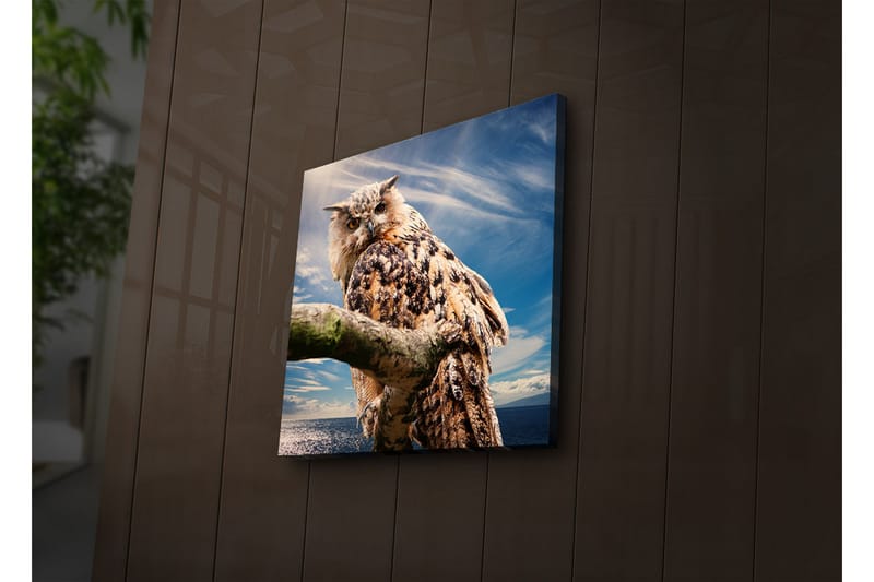 Dekorativ Canvasbilde LED-belysning - Flerfarget - Innredning - Bilder & kunst - Lerretsbilder