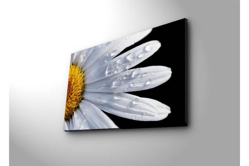 Dekorativ Canvasbilde LED-belysning - Flerfarget - Innredning - Bilder & kunst - Lerretsbilder