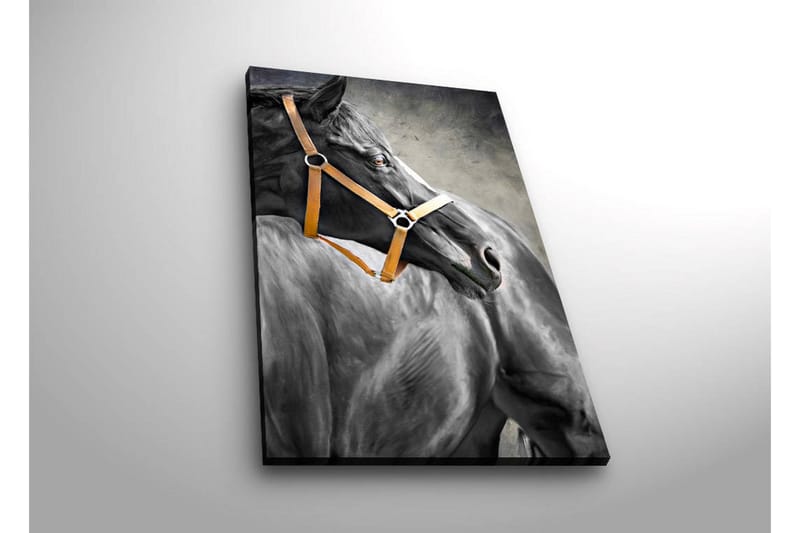 Dekorativ Canvasbilde LED-belysning - Flerfarget - Innredning - Bilder & kunst - Lerretsbilder
