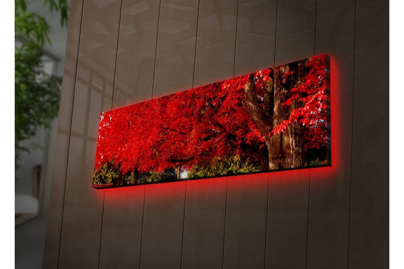 Dekorativ Canvasbilde LED-belysning - Flerfarget - Innredning - Bilder & kunst - Lerretsbilder