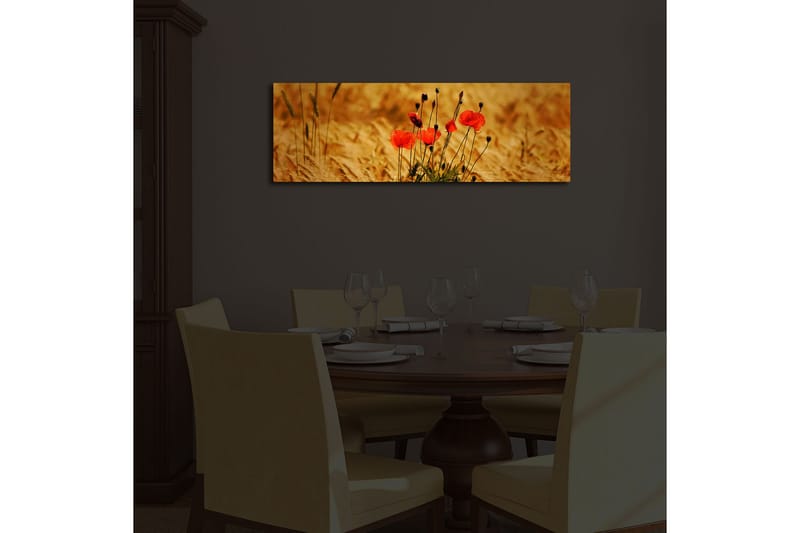 Dekorativ Canvasbilde LED-belysning - Flerfarget - Innredning - Bilder & kunst - Lerretsbilder