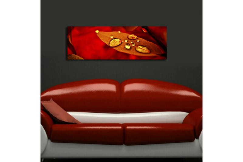 Dekorativ Canvasbilde LED-belysning - Flerfarget - Innredning - Bilder & kunst - Lerretsbilder