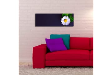 Dekorativ Canvasbilde LED-belysning - Flerfarget - Innredning - Bilder & kunst - Lerretsbilder