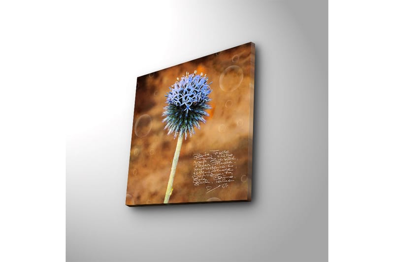Dekorativ Canvasbilde LED-belysning - Flerfarget - Innredning - Bilder & kunst - Lerretsbilder