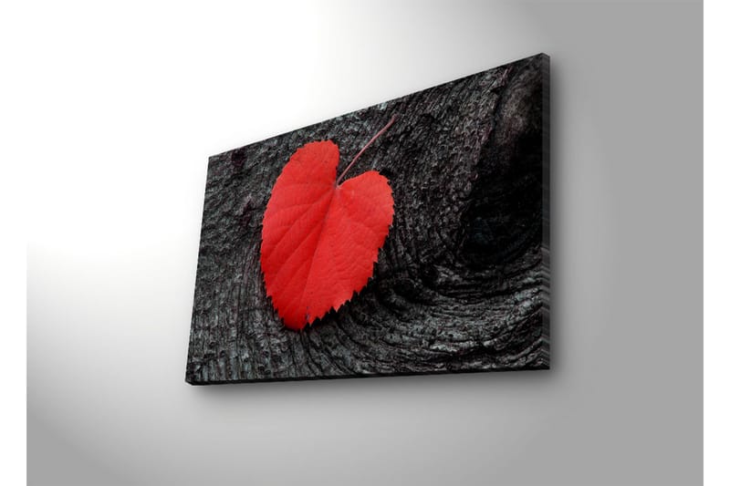 Dekorativ Canvasbilde LED-belysning - Flerfarget - Innredning - Bilder & kunst - Lerretsbilder