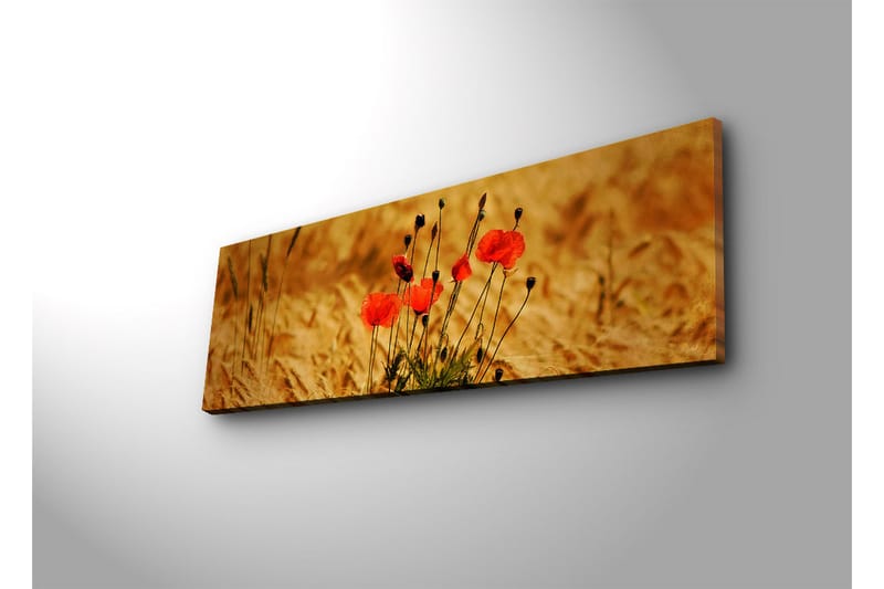 Dekorativ Canvasbilde LED-belysning - Flerfarget - Innredning - Bilder & kunst - Lerretsbilder